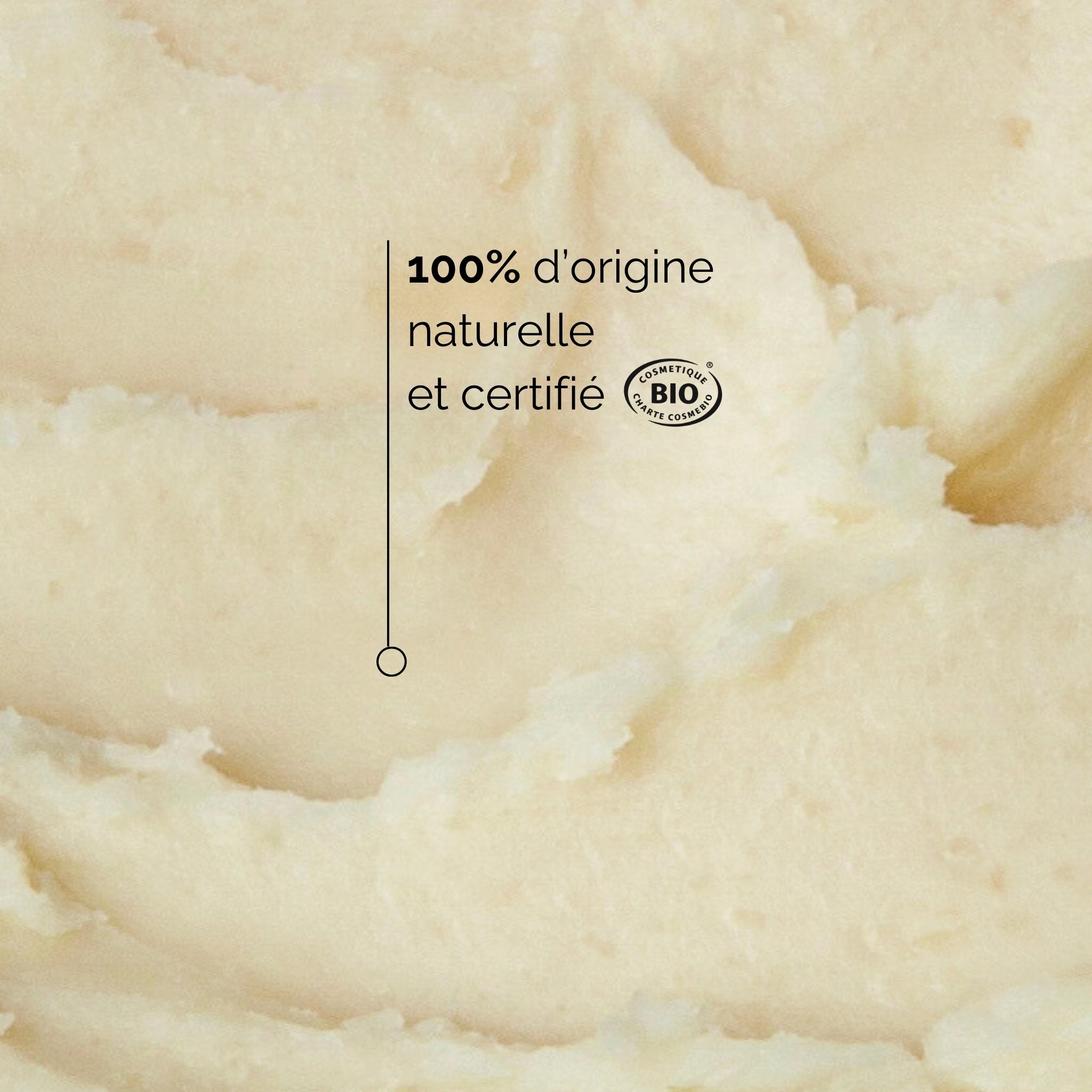 Coffret Dissolvant Solide et ses lingettes