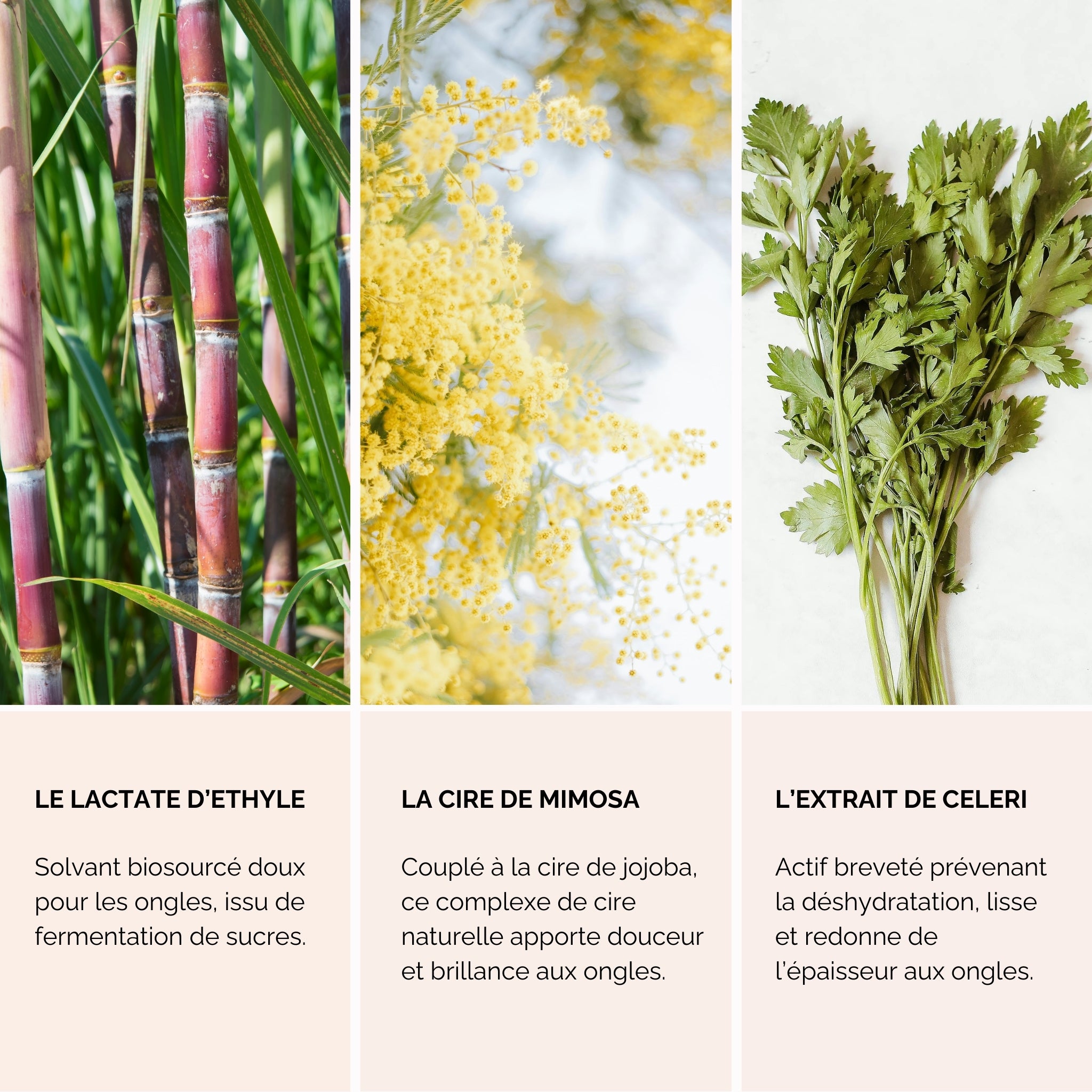 Dissolvant Solide et Soin des Ongles - Imparfait