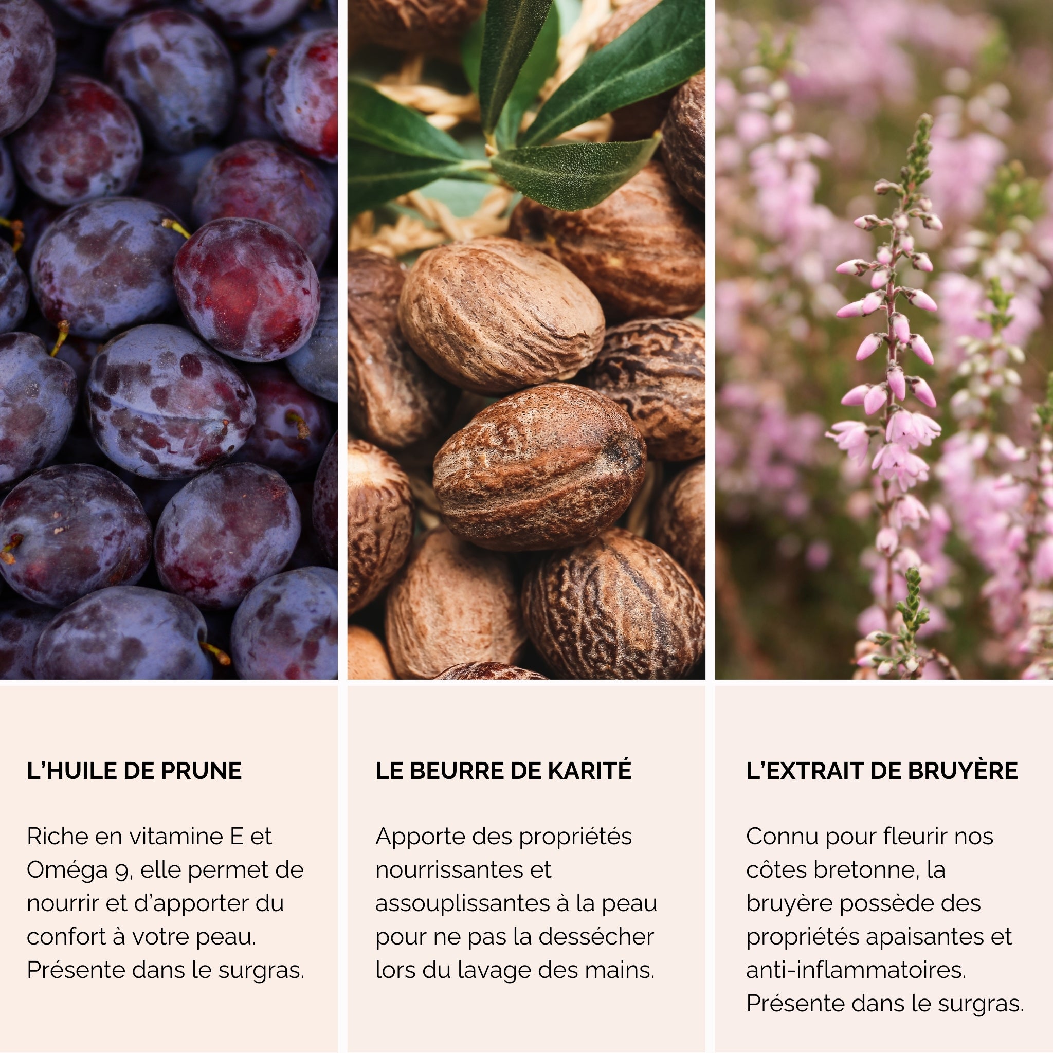 Savon Mains – Nectar de Bruyère