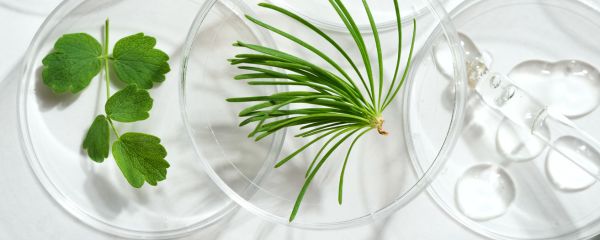 Pourquoi acheter des produits de beauté bio/naturels ?