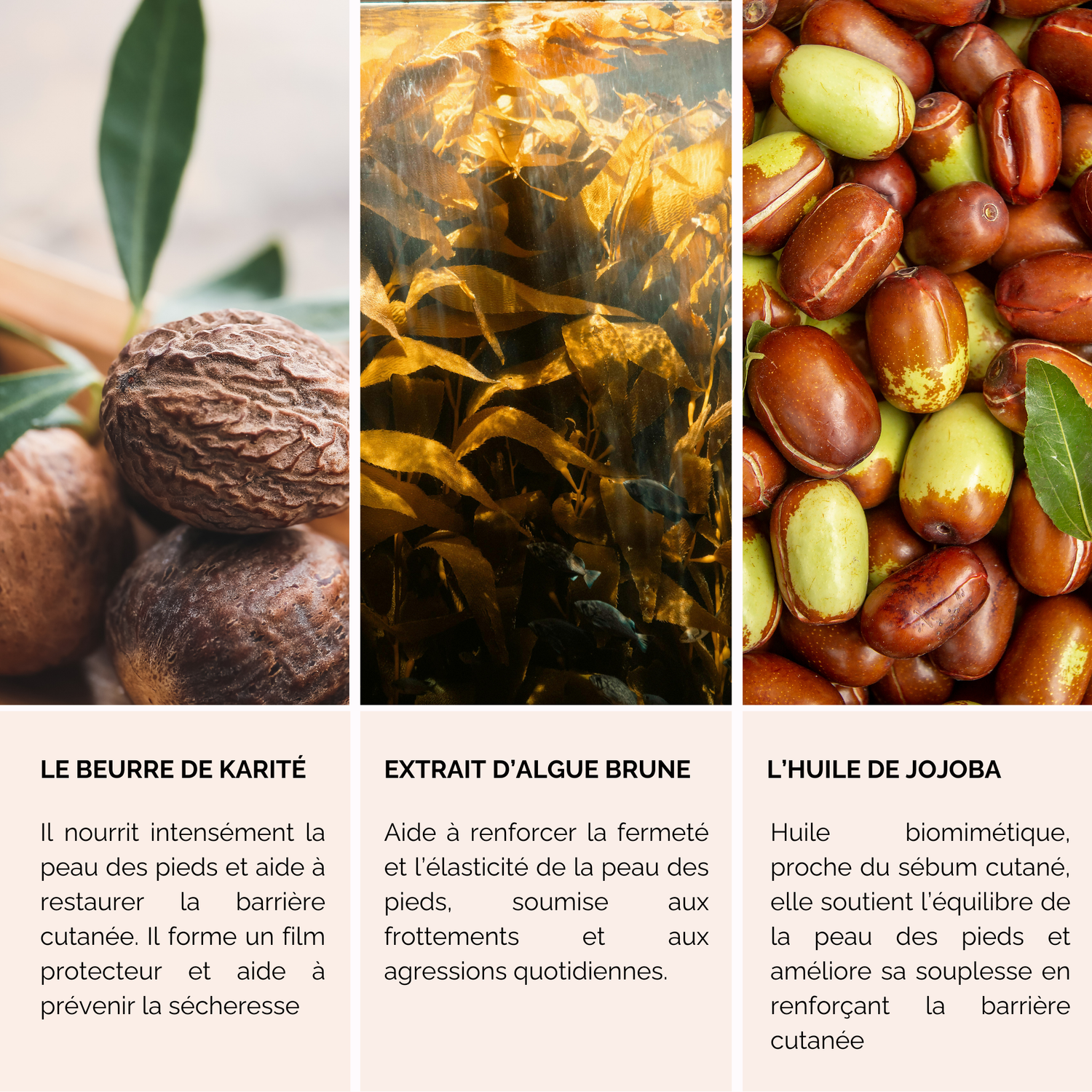 Onguent Pieds Secs et Callosités