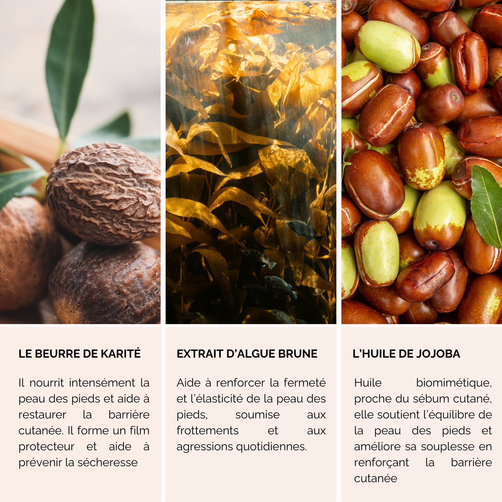 Onguent Pieds Secs et Callosités